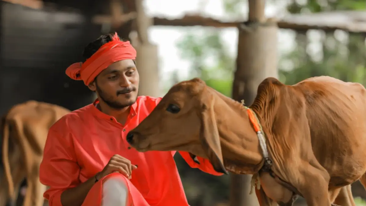 UP Kamadhenu Pashu Bima Yojana 2026: Latest Scheme, Benefits, Eligibility, Premium, Coverage and How to Apply