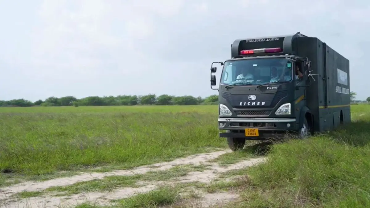 20 Blackbucks Released in Gujarat’s Banni Grasslands on Independence Day