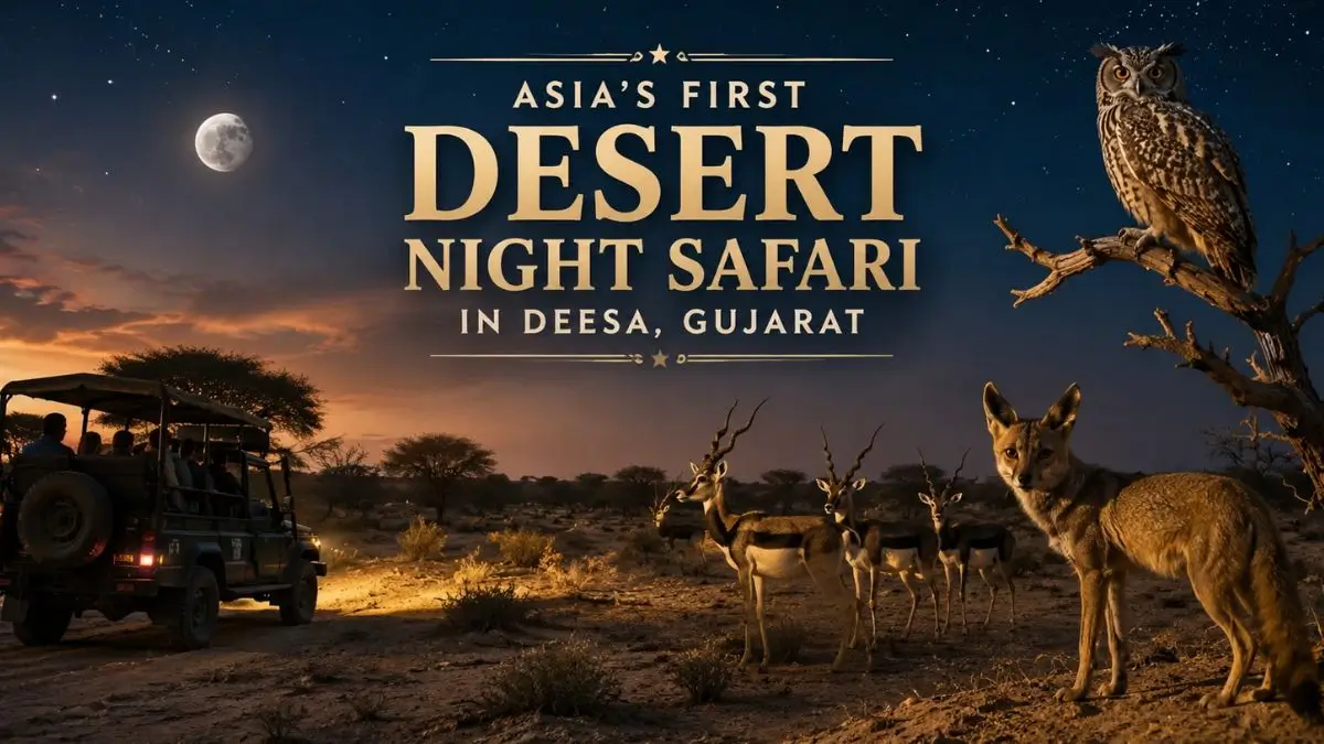 Gujarat to Get Asia’s First Desert Night Safari