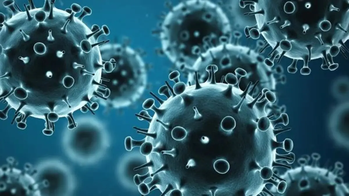 H1N1 Swine Flu: Why Is It Spreading in India?