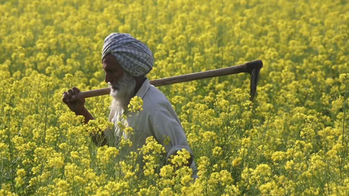 PM-AASHA Scheme 2026: Objectives, MSP Benefits, Components and Latest Updates
