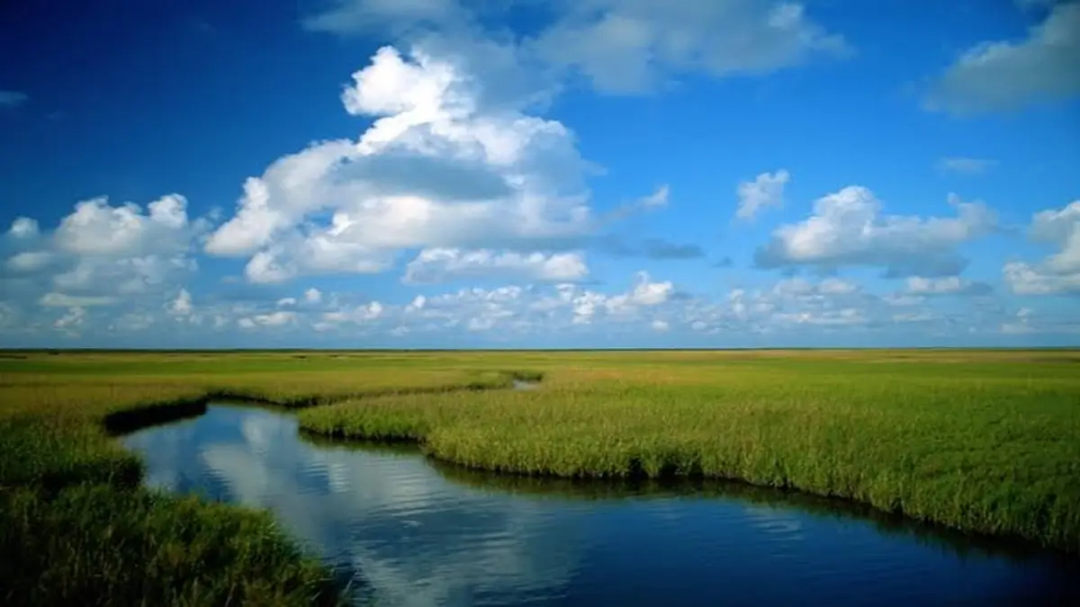 A Picture Is Worth a Thousand Words: How Louisiana’s Coastline Changed in 40 Years