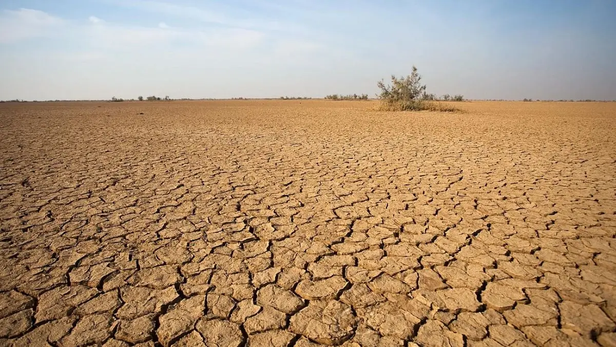 India Restored 21.76 Million Hectares of Land During 2011–2020