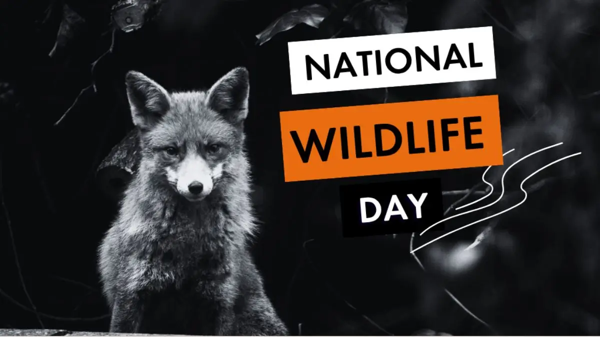 National Wildlife Day 2026: History, Importance and Activities