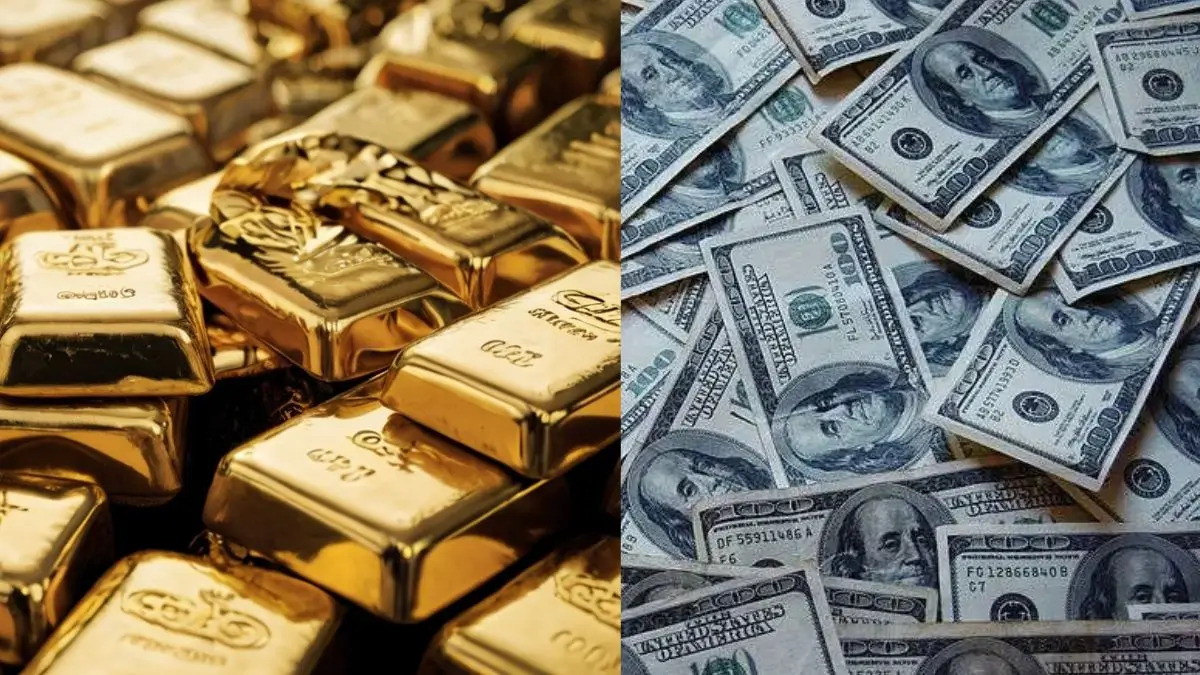 India Forex Reserves Hit Record $740.803 Billion: RBI Data