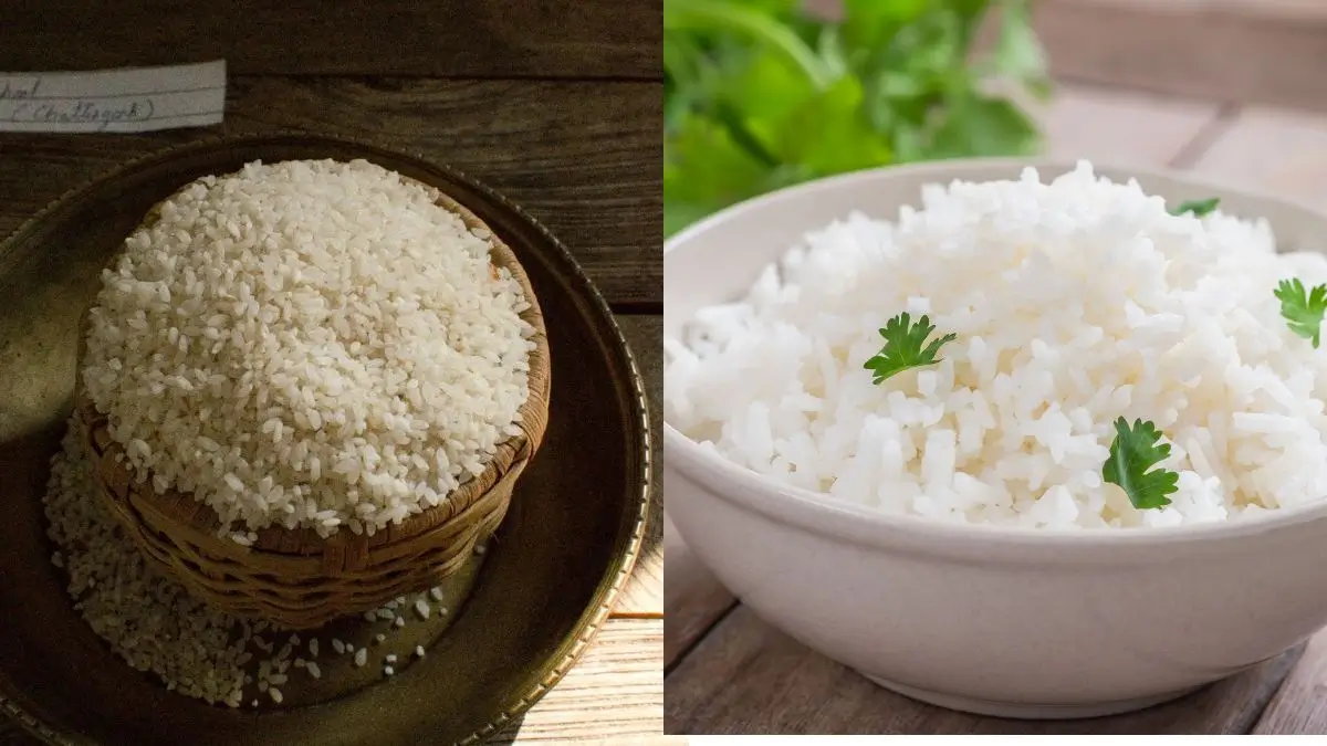 All You Need To Know About Jeeraphool Rice: GI-Tag, Cultivation, Significance, Role of Farmers, Marketing Problems