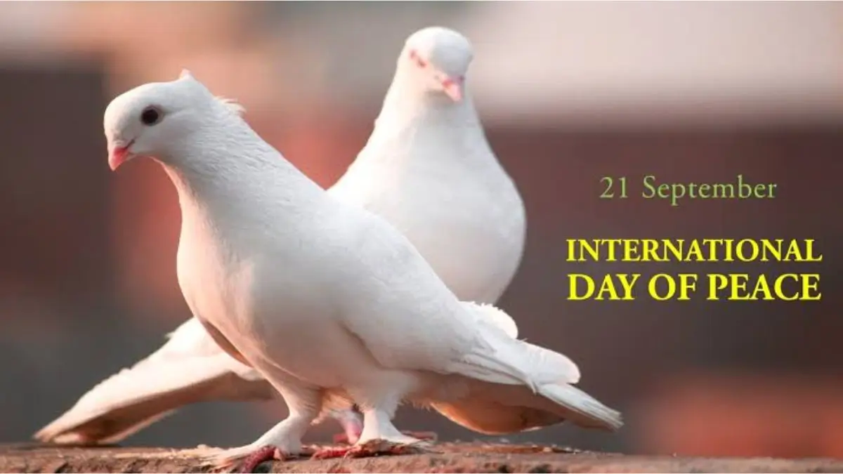 International Day of Peace 2026: Theme, History and Significance