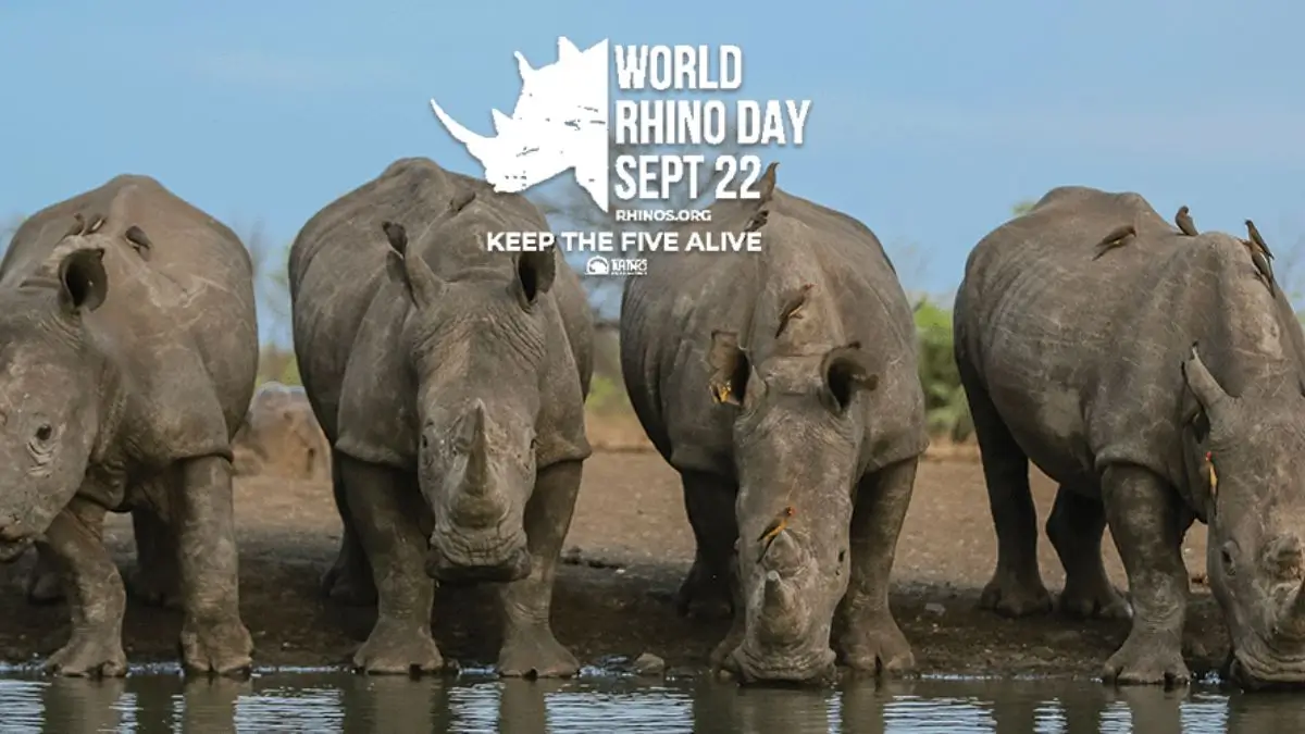 World Rhino Day 2026 Highlights India’s Rhino Conservation Efforts