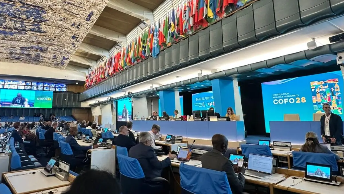 India at FAO COFO 28: Forest Cover, Bonn Challenge and Climate Action