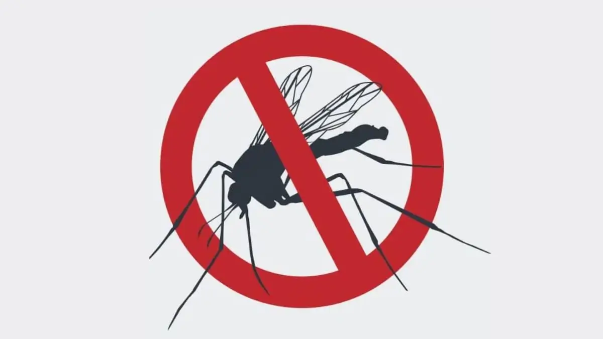 Kerala Develops AI-Based Dengue Early Warning System to Predict District-Level Trends