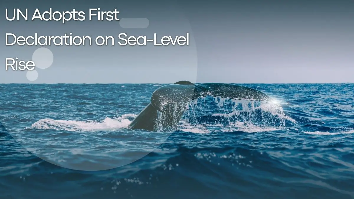 UN Adopts First Declaration on Sea-Level Rise and Continuity of Island Statehood