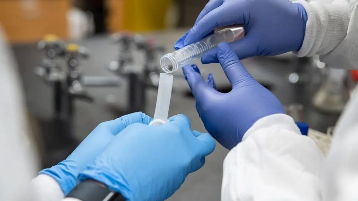 Russia Suspected Plague Case: Nearly 200 Under Observation in Irkutsk