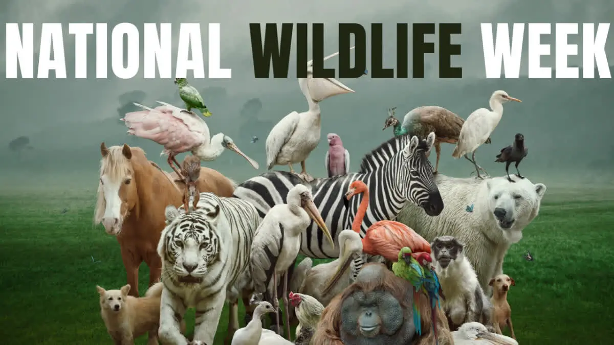 National Wildlife Week 2026 Observed from 2 to 8 October