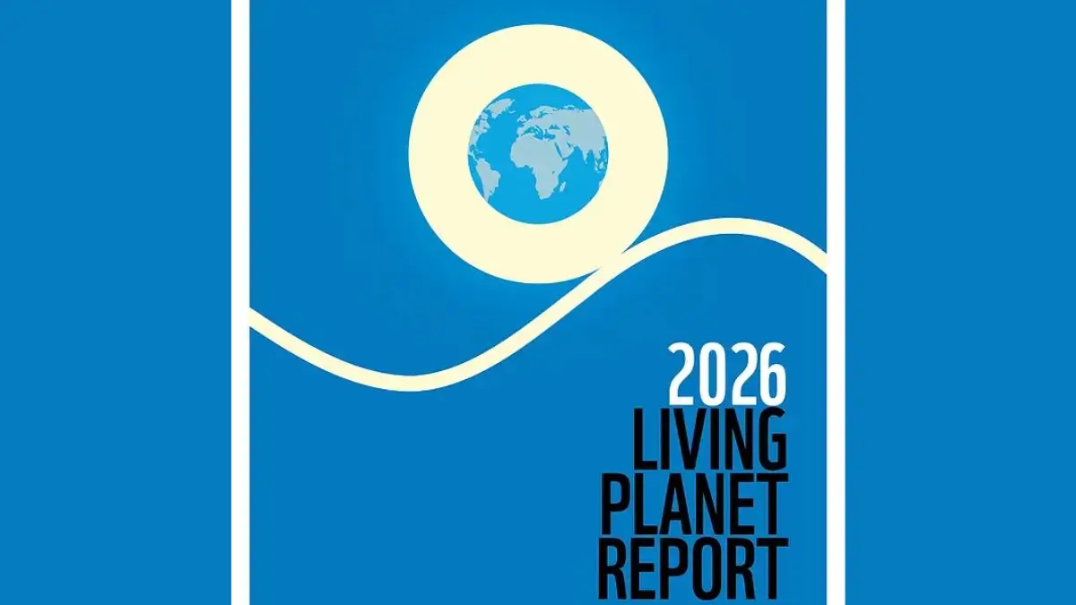 WWF Living Planet Report 2026: Monitored Wildlife Populations Decline 73%