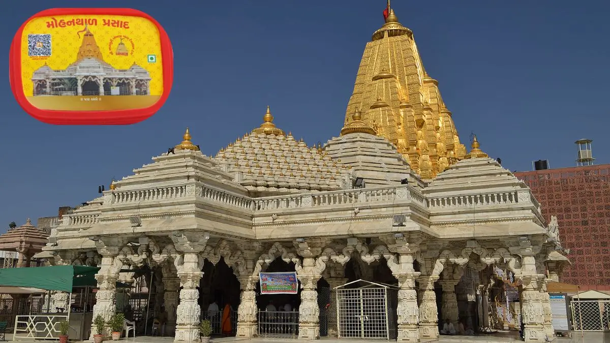 Ambaji Mohanthal Gets GI Tag: Gujarat’s Famous Temple Prasad Receives Recognition