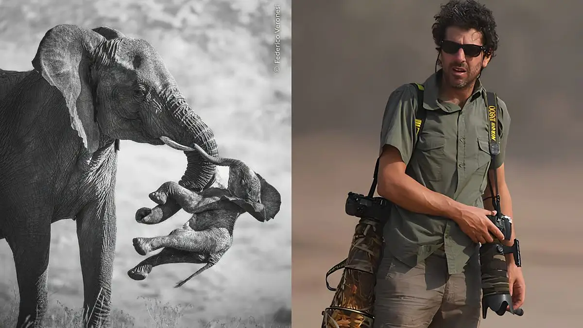 Oscar Whitfield Wins Young Wildlife Photographer of the Year 2026