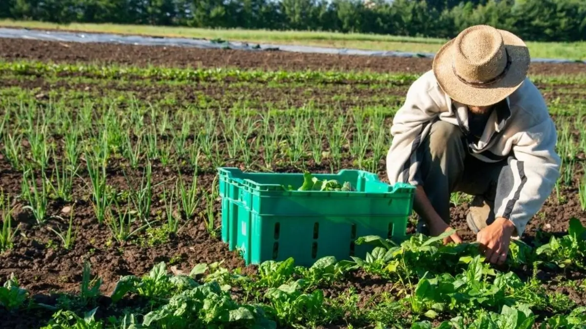 Ladakh Becomes India’s First Fully Organic Union Territory